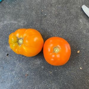 Meet your Posher, Yolanda